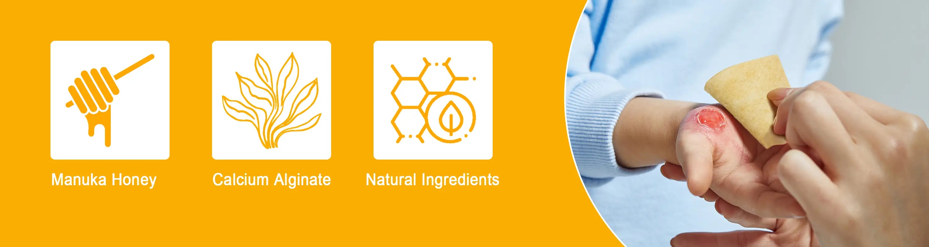Calcium alginate dressing with natural honey helps to inhibit bacterial growth and reduce the risk of infection