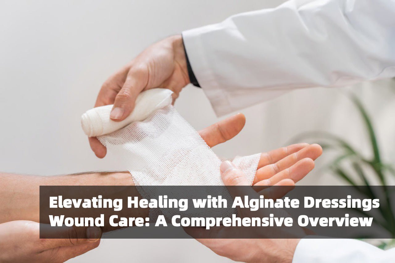 Elevating Healing with Alginate Dressings Wound Care: A Comprehensive Overview