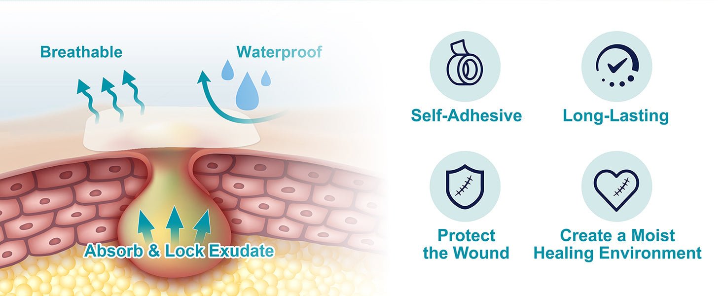Hydrocolloid Patch Ingredients: What They Are and Why They Matter in Wound Care