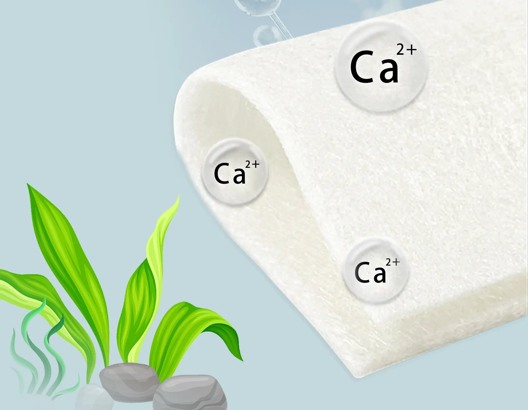 Calcium alginate dressings create a moist environment with their superior absorption capabilities