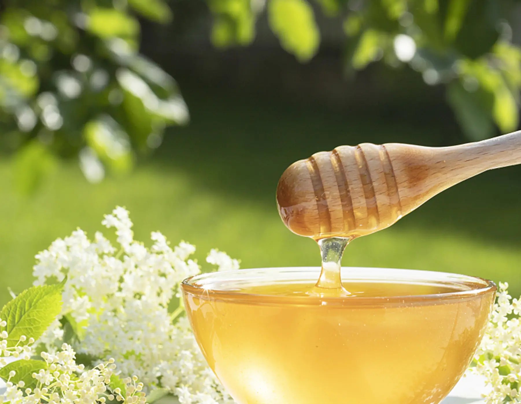 Combining the healing properties of honey, honey dressings provide a safe and effective solution